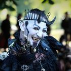 WGT 2014 - Victorian Picnic III