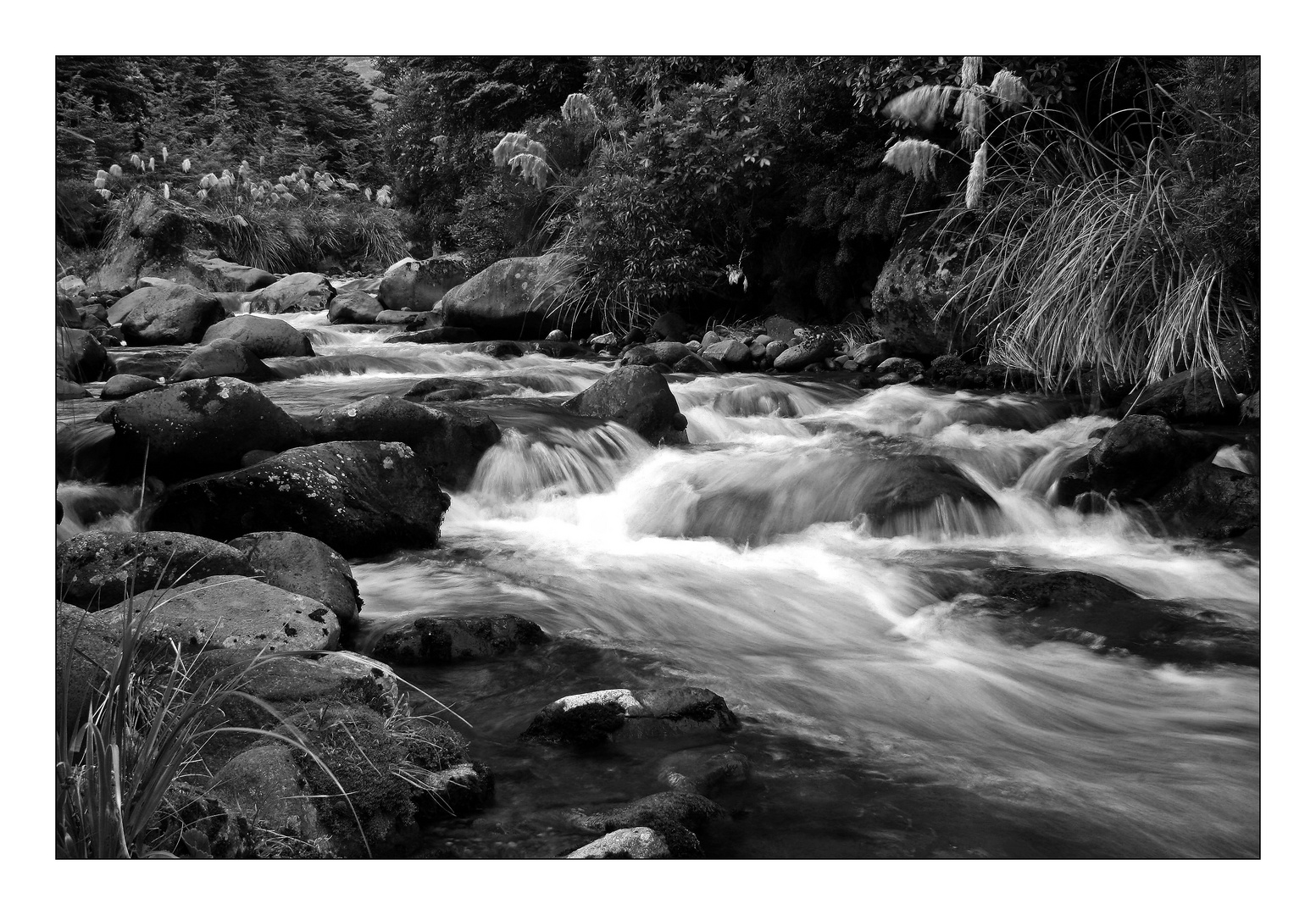 Whakapapanui Stream