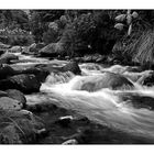 Whakapapanui Stream