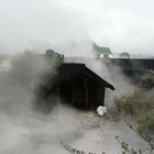 Whakarewarewa Village, Rotorua, NEW ZEALAND