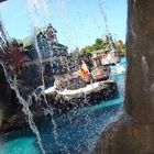 Whale Adventures - Splash Tours neu