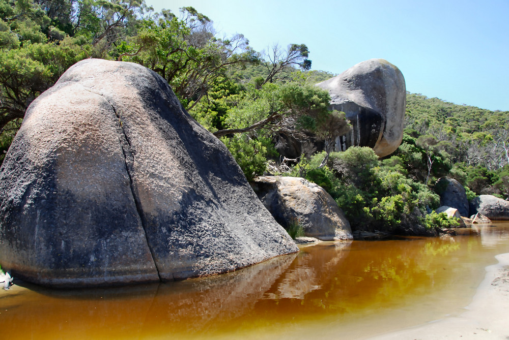 Whale Rock