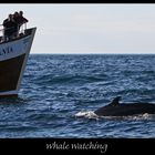 Whale-Watching