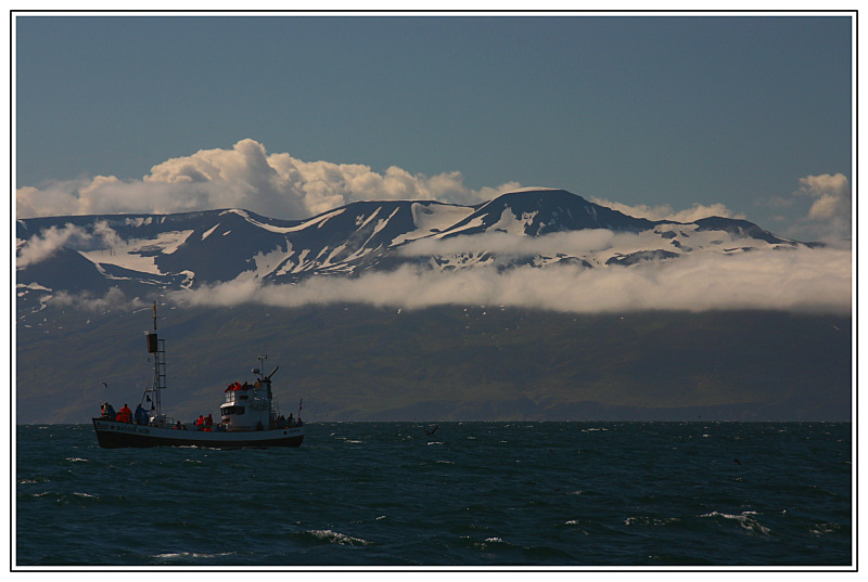 Whale watching