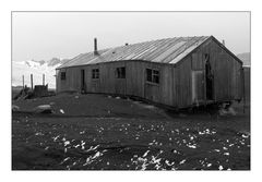 Whalers Bay • Deception Island