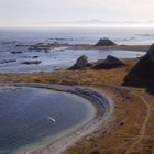 Whalers Bay (Kaikoura Peninsula Cliff Top Walk)