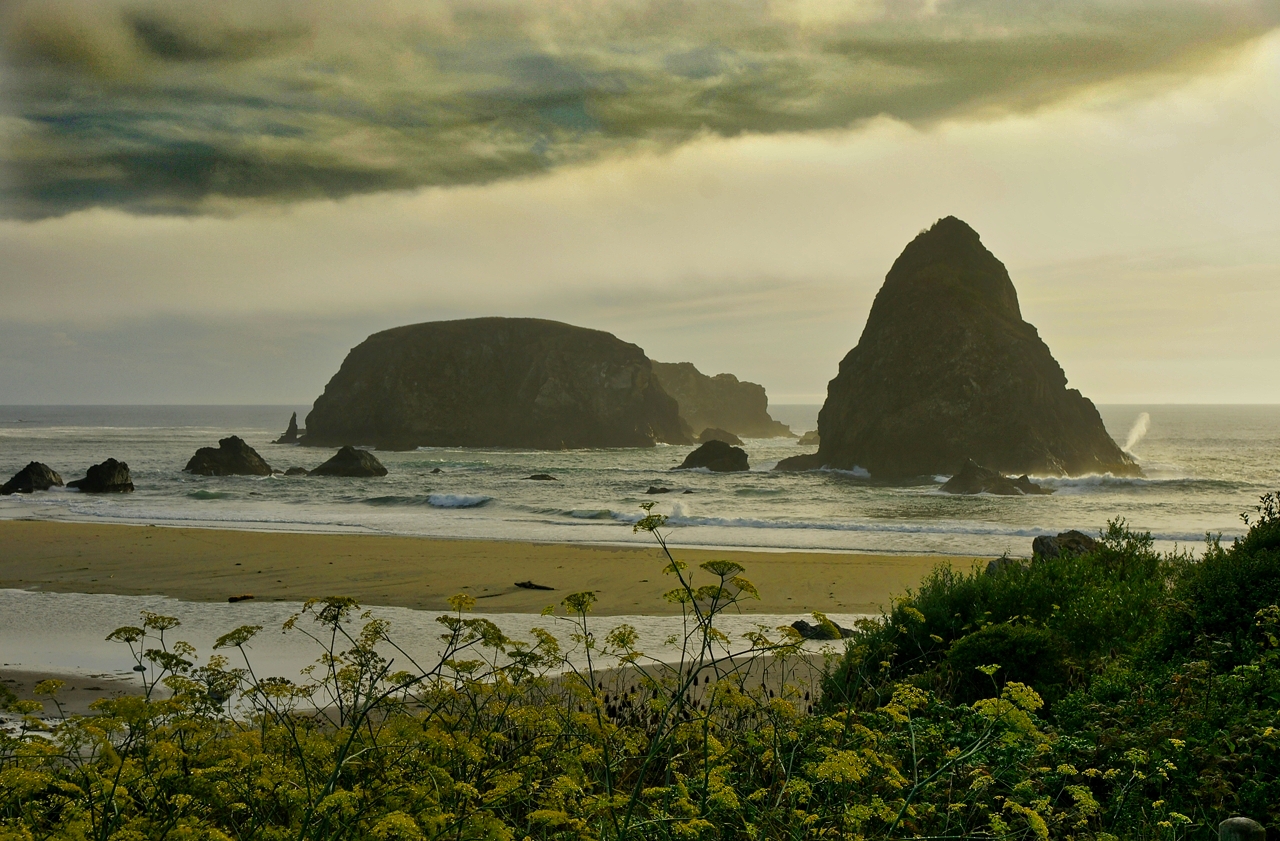 Whaleshead Beach