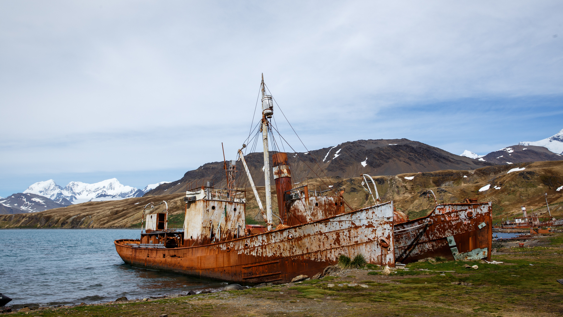 Whaling ships in Grytviken