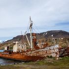 Whaling ships in Grytviken