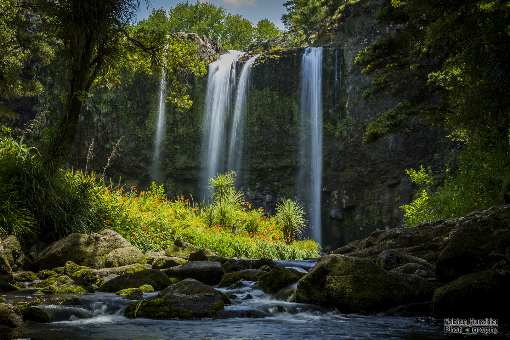 Whangarei Falls