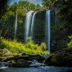 Whangarei Falls