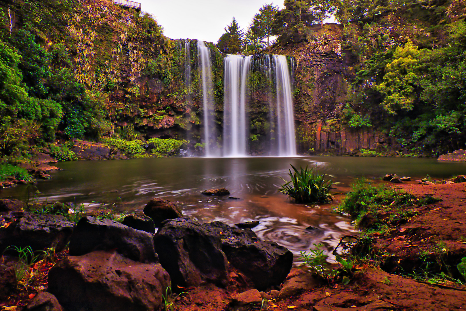 Whangarei Falls 2