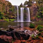 Whangarei Falls 2