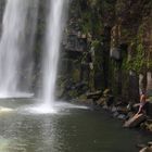 Whangarei Falls