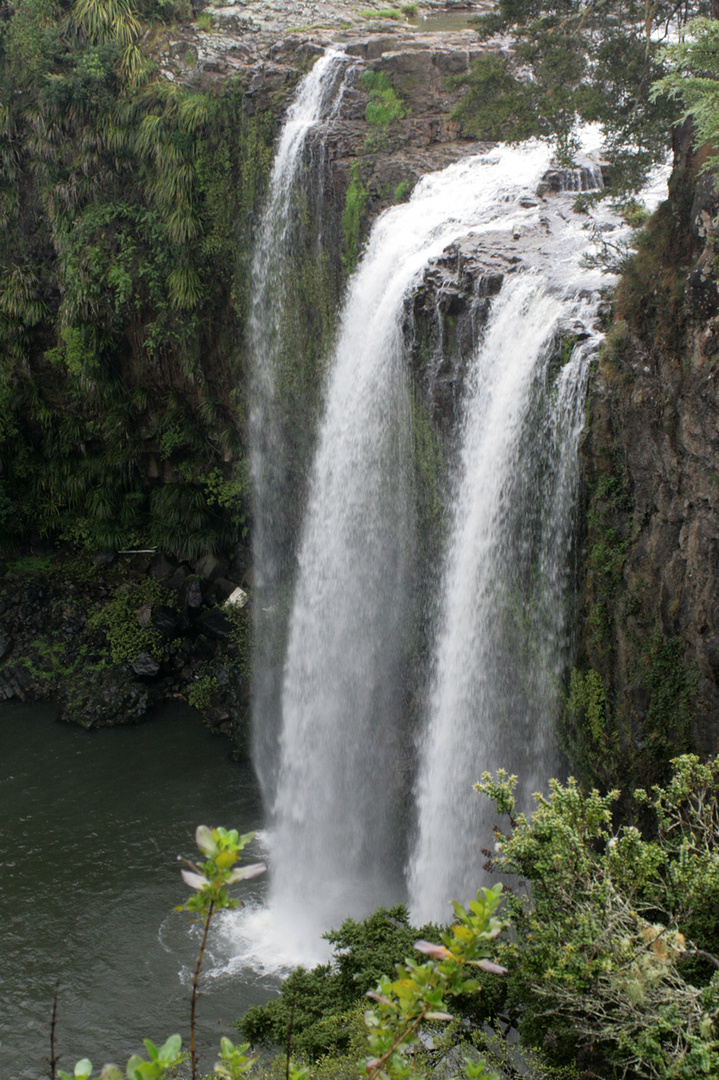 Whangarei Falls 