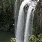 Whangarei Falls 