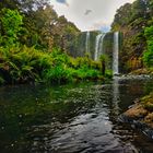 Whangarei Falls 