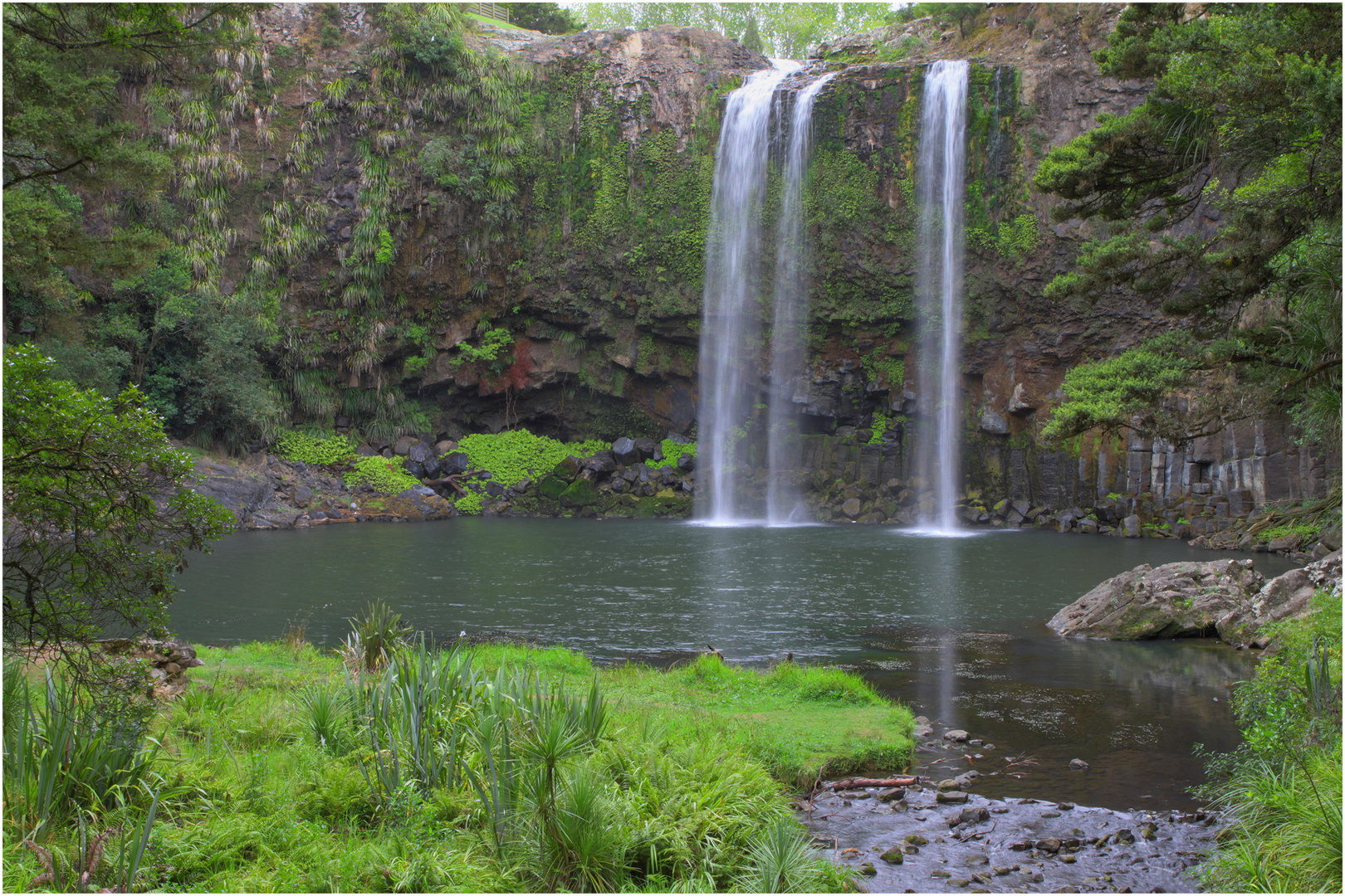 Whangarei Falls