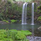 Whangarei Falls