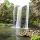 Whangarei Falls