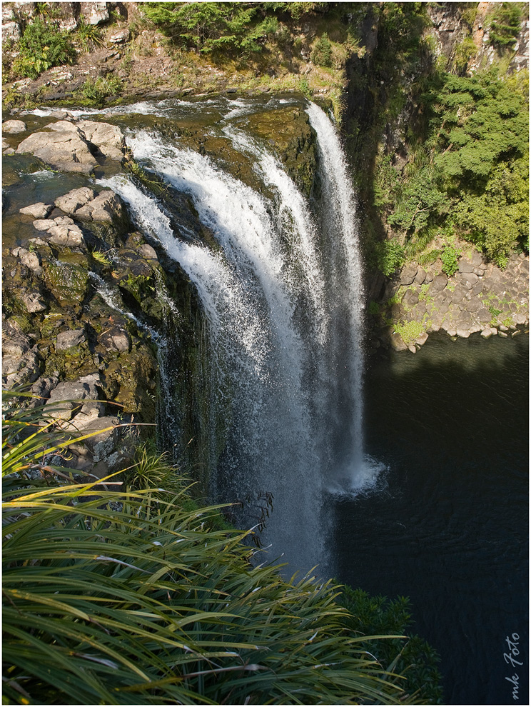 Whangarei Falls