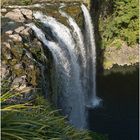 Whangarei Falls