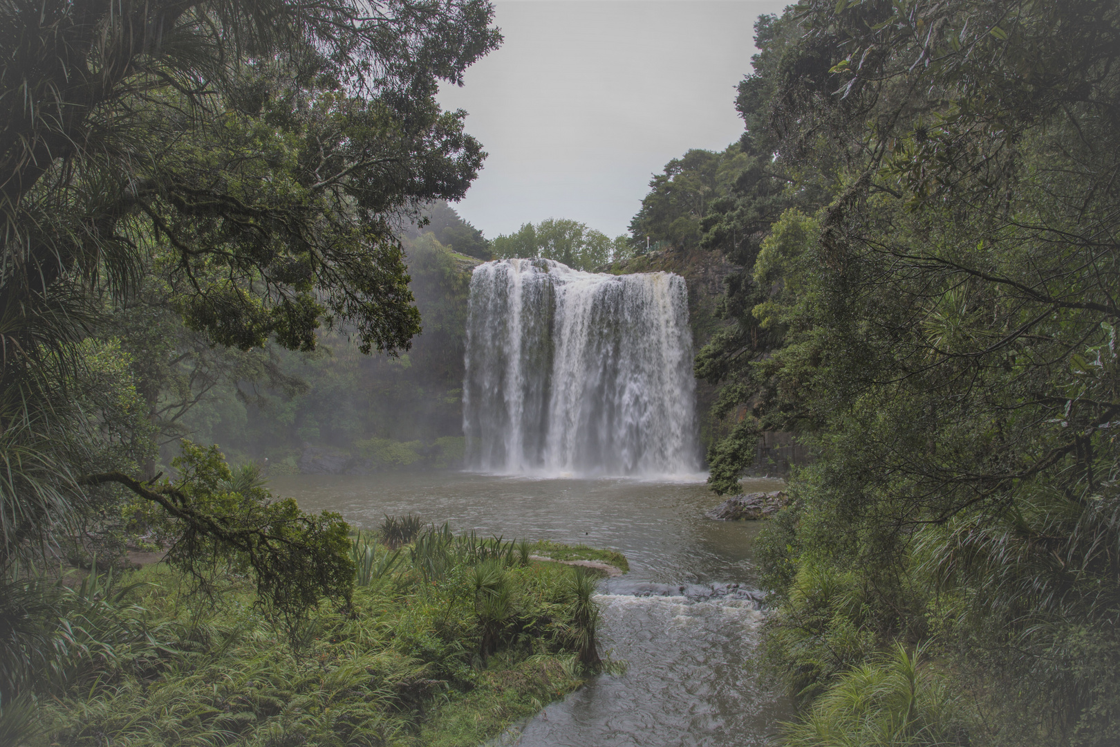 Whangarei Falls