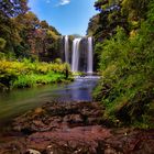 Whangarei Falls