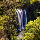 Whangarei Falls HDR