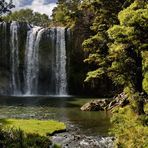 Whangarei Falls II - Neuseeland - Nordinsel