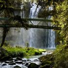 Whangarei Falls - Neuseeland - Nordinsel