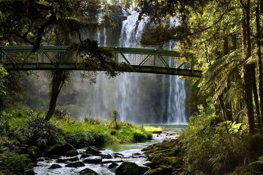 Whangarei Falls - Neuseeland - Nordinsel