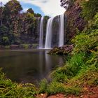 Whangarei Falls - Perspektive