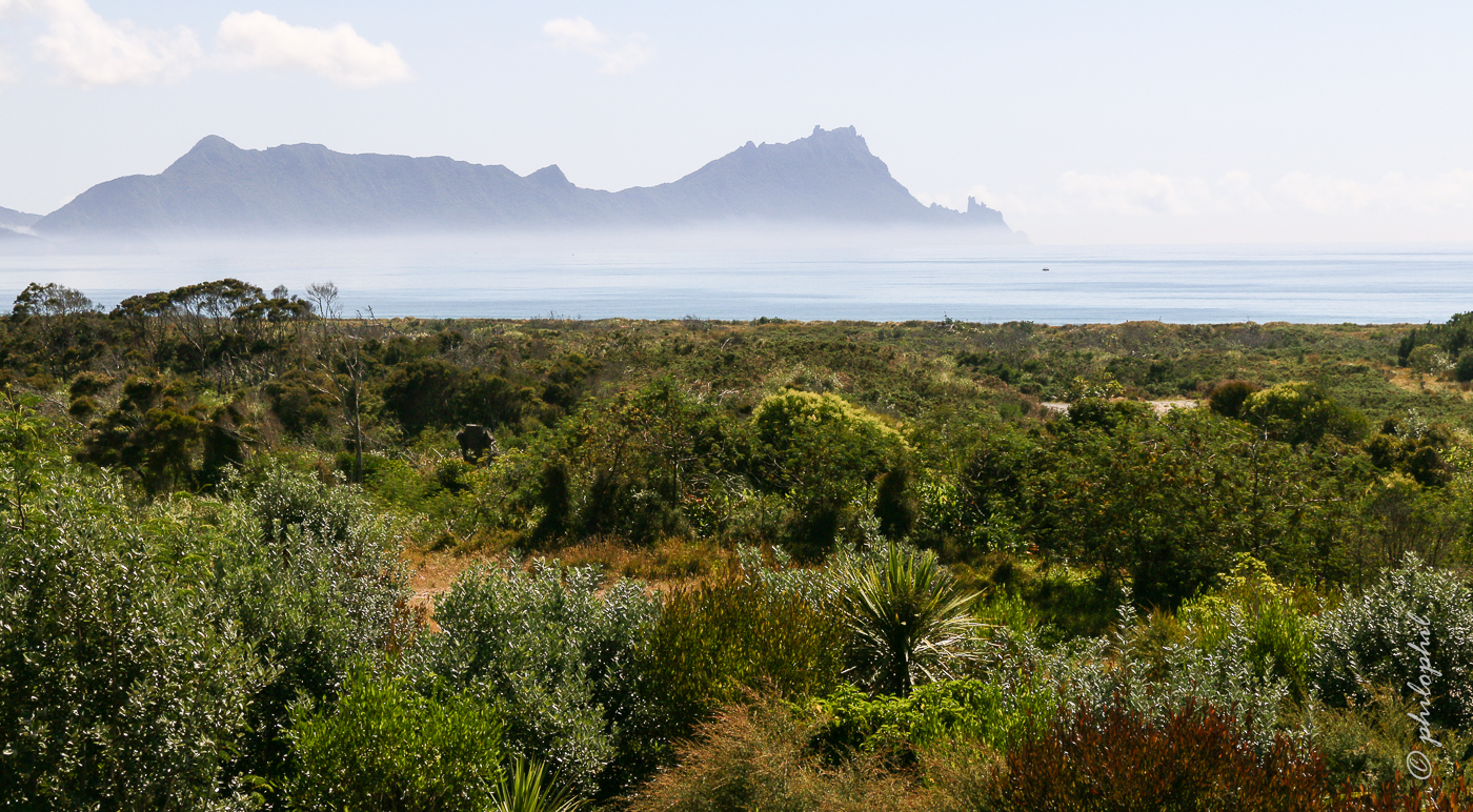 Whangarei Heads