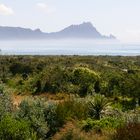 Whangarei Heads