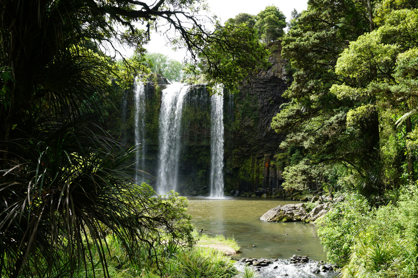 Whangareifalls