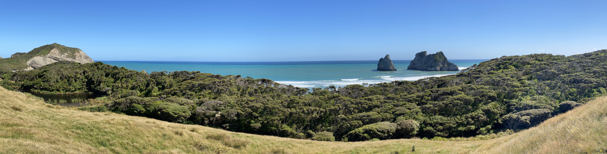 Wharariki Beach