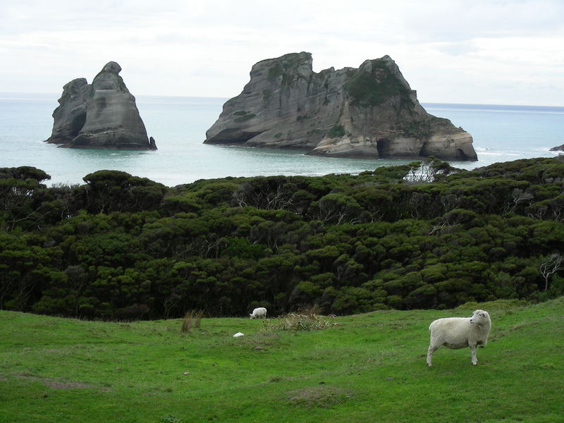 Wharariki Beach