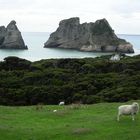 Wharariki Beach