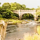 Wharfedale Bridge