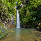 Whaspen Falls New Zealand