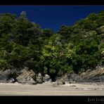 What a beach!