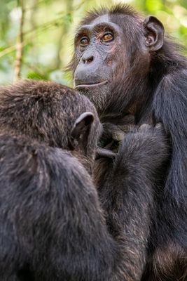 [ What a lousy day...]