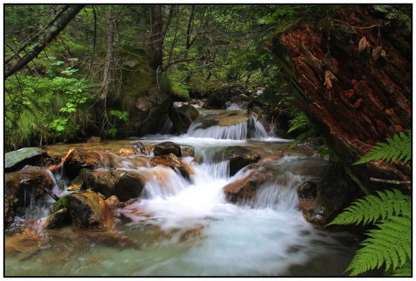 What a wonderful world ...