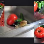 What is for dinner tonight?