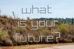 What is your future?