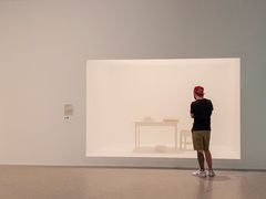 What the fuck is that?