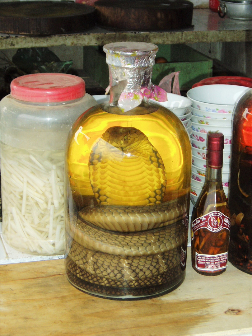 What to buy in Vietnam:  Snake Wine