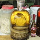 What to buy in Vietnam:  Snake Wine