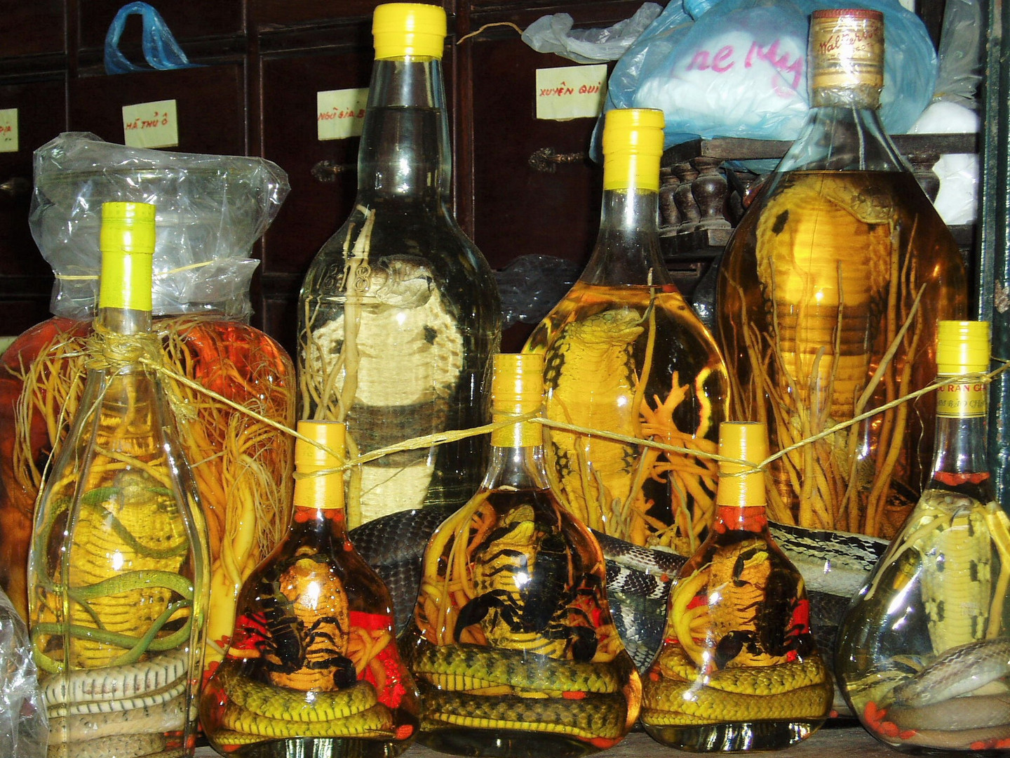 What to buy in Vietnam:  Snake Wine with Scorpions